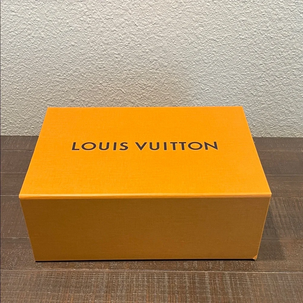 Louis Vuitton Nina Ballerina Flats - Picture 10 of 10